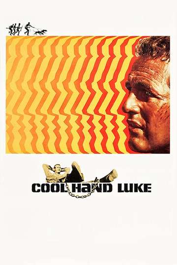 Cool Hand Luke 1967 Stream And Watch Online Moviefone