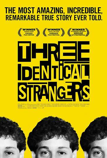 Three Identical Strangers 2018 Stream And Watch Online Moviefone
