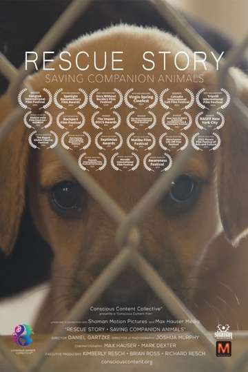 Rescue Story  Saving Companion Animals Poster