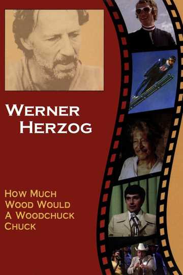 How Much Wood Would a Woodchuck Chuck Poster