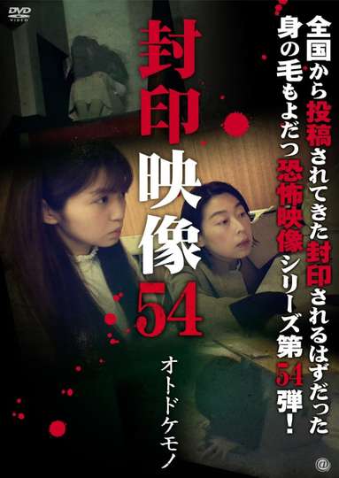 Sealed Video 54 Otodokemono Poster