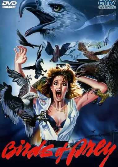 Birds of Prey Poster