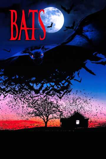 Bats Poster