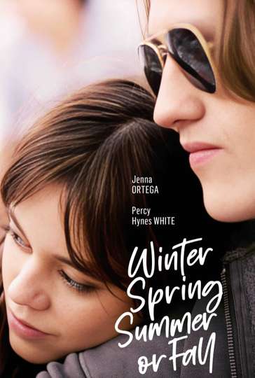 Winter Spring Summer or Fall Poster