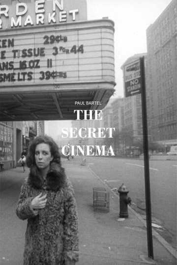 The Secret Cinema Poster