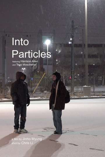 Into Particles Poster