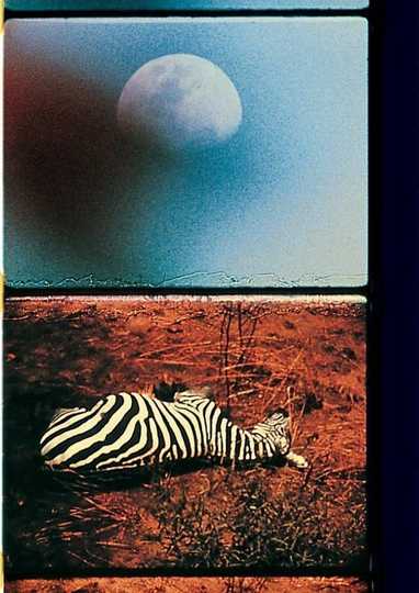 Our Trip to Africa Poster