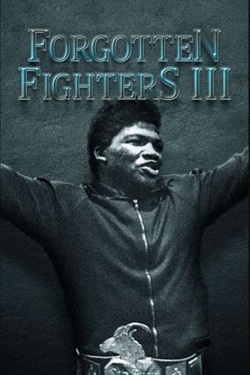 Forgotten Fighters III Poster