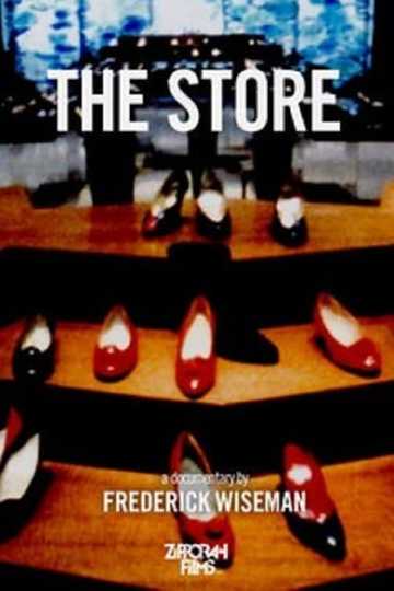 The Store Poster