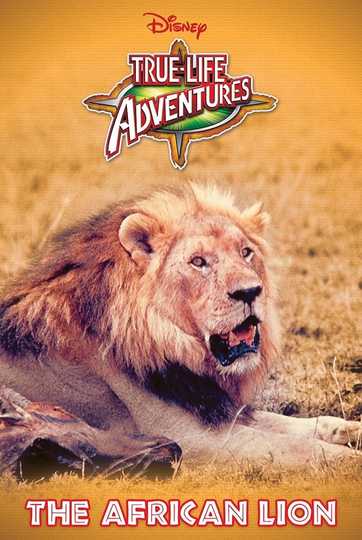The African Lion Poster