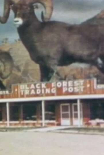 Black Forest Trading Post
