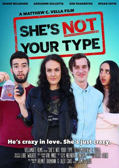 She's Not Your Type Poster