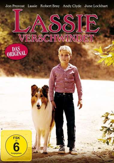 Lassie: Disappearance (1964) - Movie | Moviefone