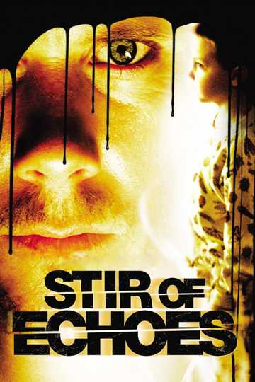 Stir of Echoes Poster