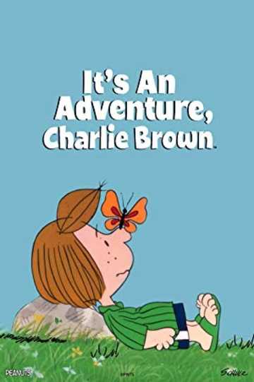 It's an Adventure, Charlie Brown Poster