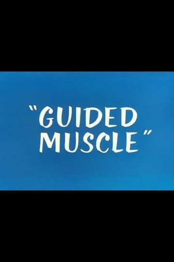 Guided Muscle Poster