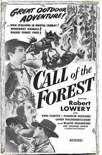 Call of the Forest Poster