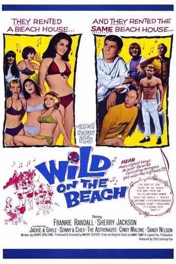 Wild on the Beach Poster