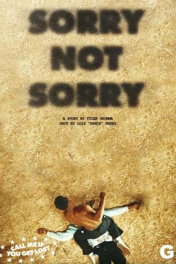Sorry not sorry Poster