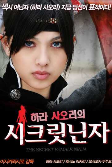 Memoirs of a Lady Ninja Poster