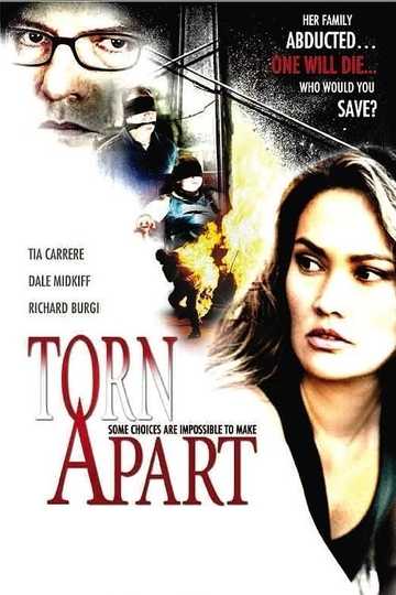 Torn Apart Poster