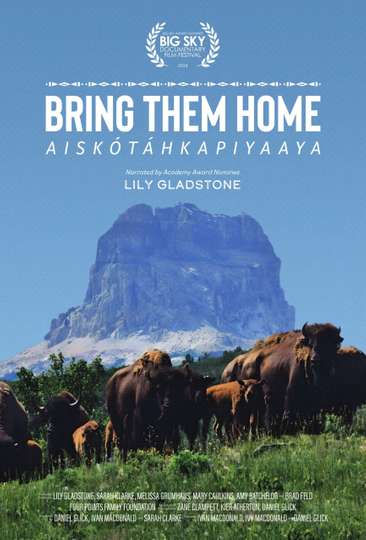 Bring Them Home Poster