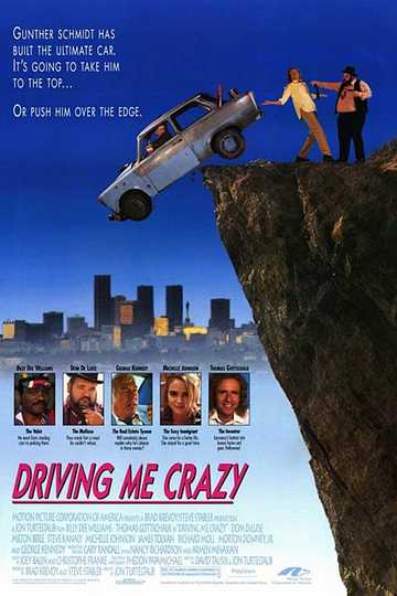 Driving Me Crazy Poster