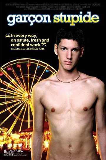 Stupid Boy Poster