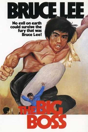 The Big Boss Poster