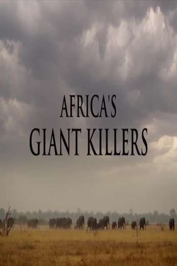 Africa's Giant Killers (2014) - Movie | Moviefone