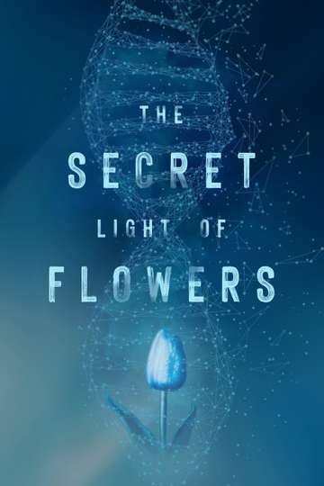 The Secret Light of Flowers Poster