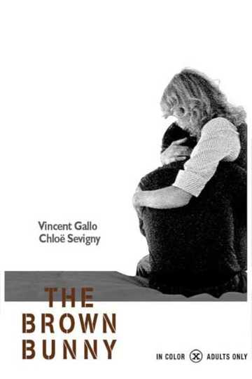 The Brown Bunny Poster