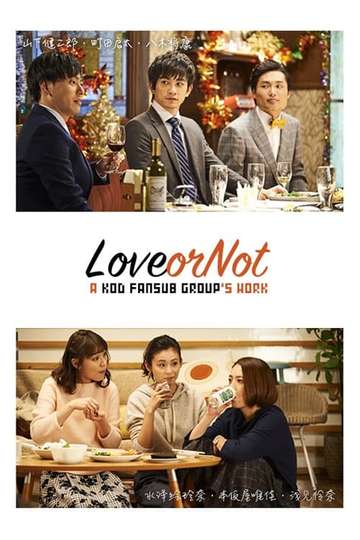 Love or Not Poster