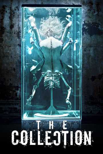 The Collection Poster