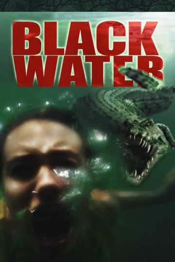 Black Water Poster