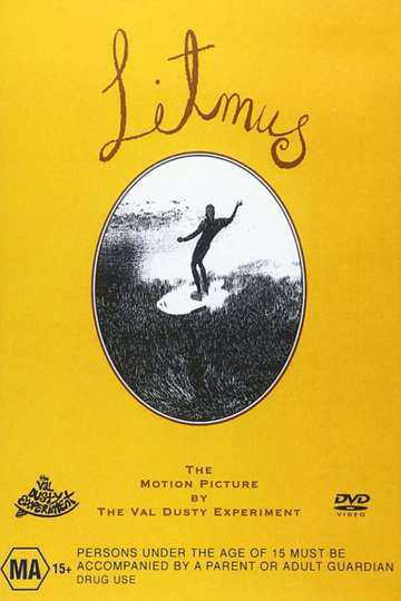 Litmus A Surfing Odyssey Poster