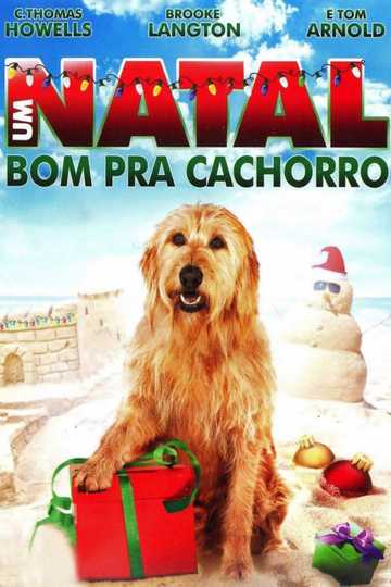 Chilly Christmas Poster
