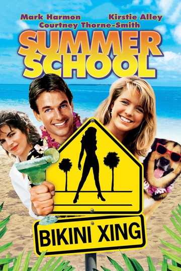 Summer School Poster