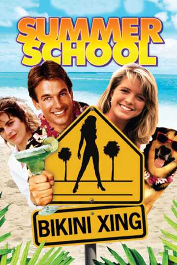 Summer School Poster