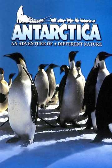 Antarctica Poster