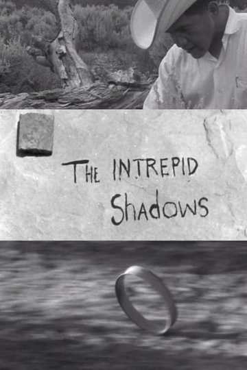 Intrepid Shadows Poster
