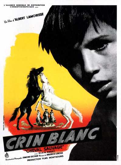 White Mane Poster