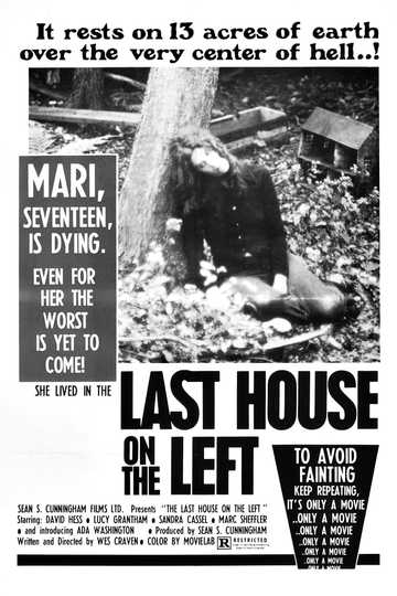 The Last House on the Left Poster