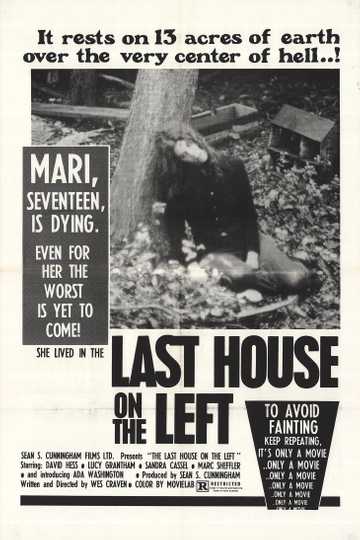 The Last House on the Left Poster