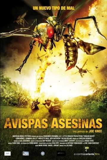 Black Swarm Poster