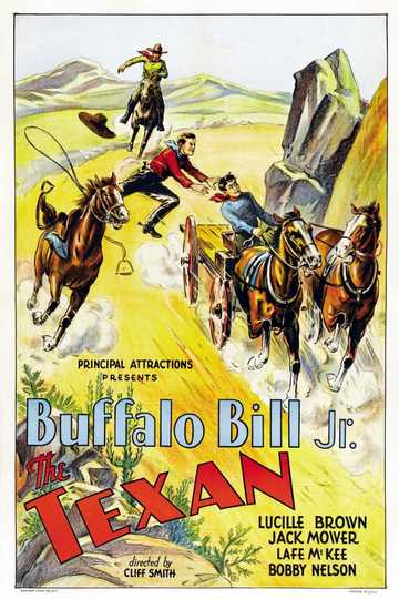 The Texan Poster