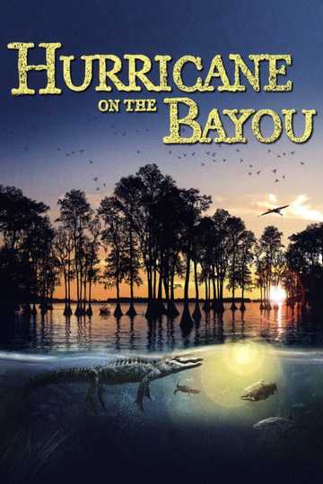 Hurricane on the Bayou Poster
