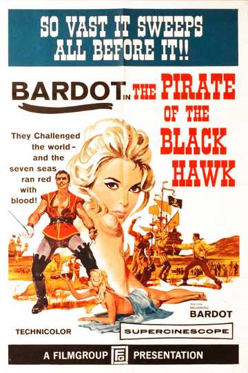 The Pirate of the Black Hawk Poster