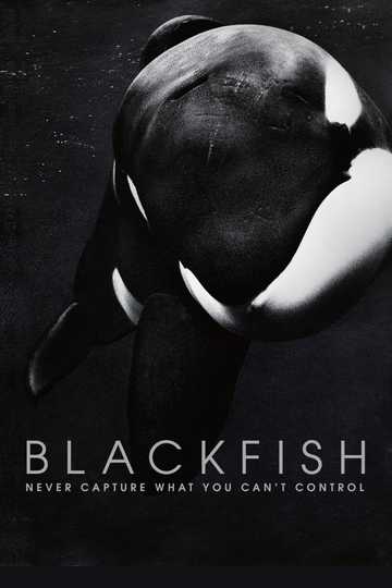 Blackfish Poster