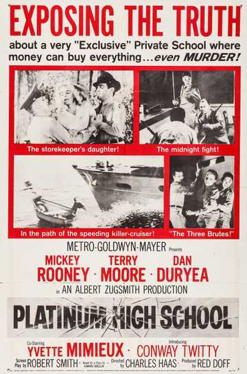 Platinum High School Poster